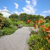 Photos: The New York Botanical Garden — A Lush, Social-Distancing Paradise — Reopens
